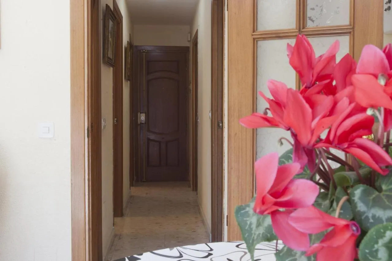 Apartment - 2 Bedrooms With Wifi And Sea Views - 01679
